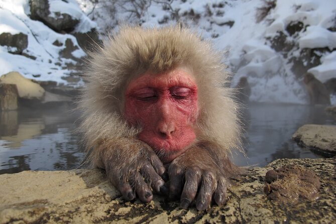 Snow Monkey and Shibu Onsen Afternoon Group Tour From Myoko Kogen - Exploring Shibu Onsen
