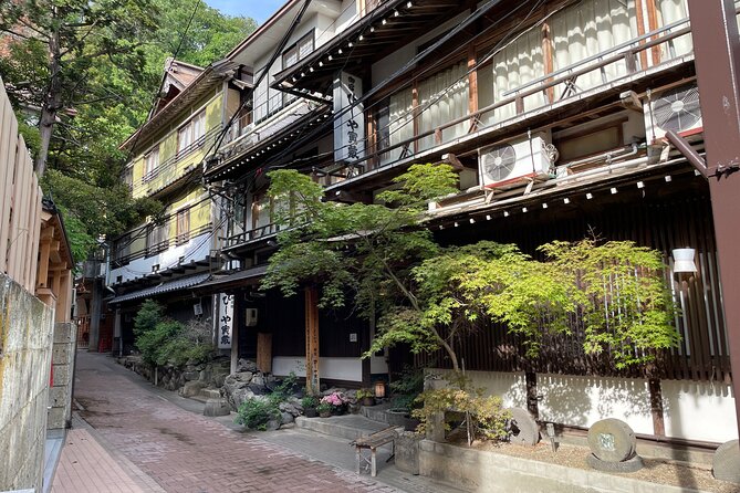 Snow Monkey & Shibu Onsen Private Tour (Nagano, Nozawa, Myoko) - Additional Notes