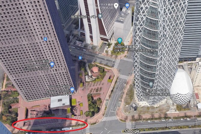 Snow Monkey, Shiga Kogen Roman Museum With Lunch Buffet - Reviews and Feedback