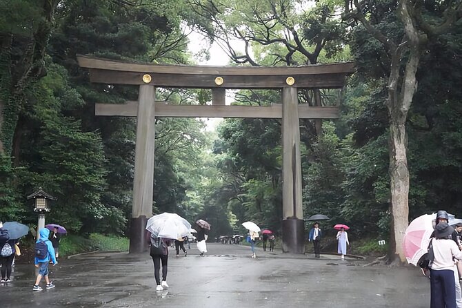 Tokyo Day Tour With English/Hindi Speaking Driver - Additional Information