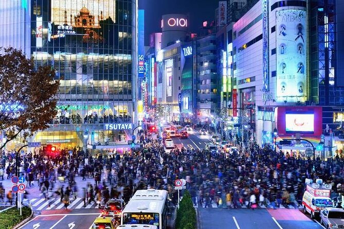 Tokyo: Exclusive City Highlights Tour With Eng Speaking Driver - Tour Experience