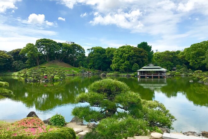 Tokyo Famous Spot Day Tour by Exclusive Car - Health and Accessibility Considerations