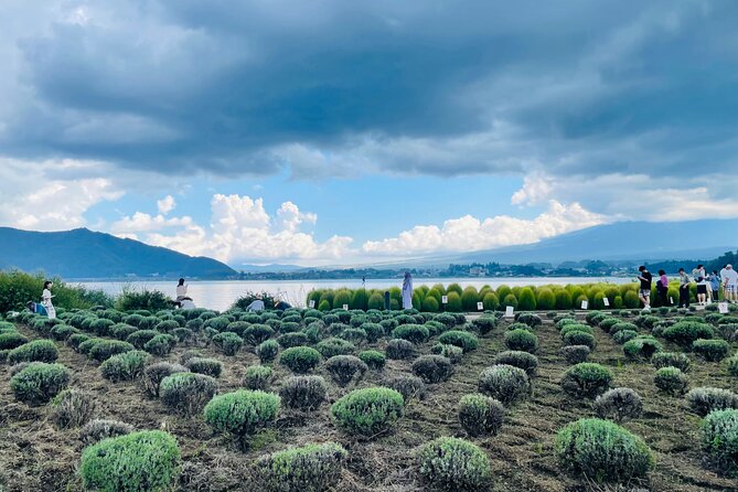 Tokyo: Mount Fuji One Day Private Tour by Car With English Guide - Tour Highlights