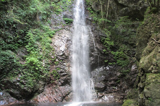 Tokyo Okutama Day Trip Tour - Scenic Highlights