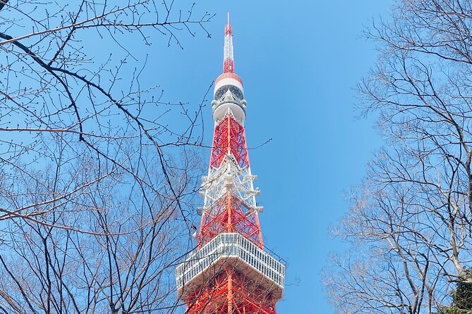 Tokyo Private Custom Day Tour With English Speaking Chauffeur - Highlights of the Tour