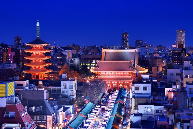 Tokyo Private Driving Tour by Car/Van With English Chauffeur - Customer Testimonials and Feedback