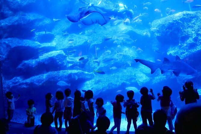 Tokyo Sumida Aquarium E-Ticket With Optional Tokyo Metro Pass - Booking Information