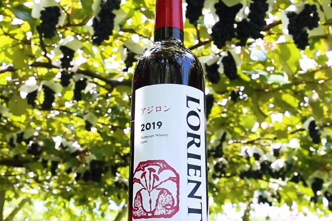 Train and Taxi Grape Temple and Winery Tour in Yamanashi - Booking and Cancellation Policy