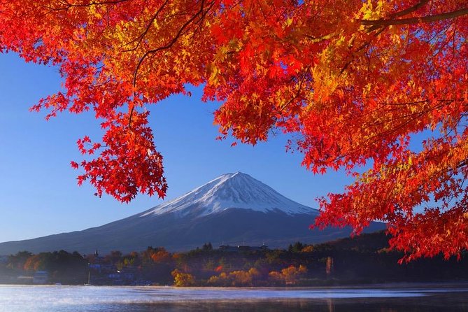 View of Mt. Fuji Is Good! Sushi Making Experience Class - Transportation and Infant Seats