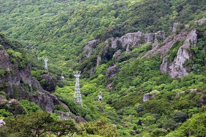 1-Day Shodoshima Island Bus Tour - Getting There