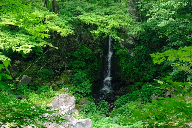 1 Day Tour Explore Nikko's World Heritage and National Park - Exploring Nikkos World Heritage Sites