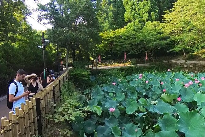 A Hidden Gem Away From the Crowds: E-Bike Tour in Arashiyama - Tailoring the Experience to Your Preferences