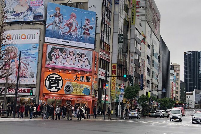Amazing Tsukiji Fish Market and Akihabara Pop Culture of Tokyo - Discovering Anime and Manga Shops