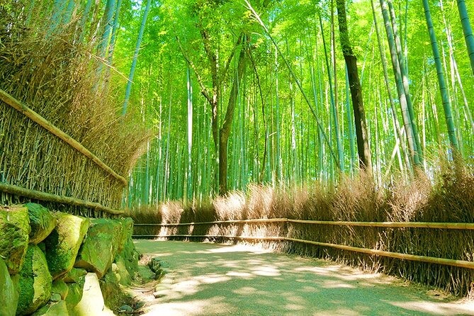 Arashiyama Bamboo & Must See Gardens With an Amazing Guide - Exploring Arashiyama Bamboo Grove