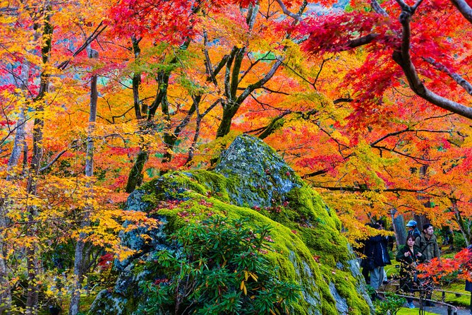 Arashiyama Walking Tour With Optional Sagano Romantic Train Ride - Reviews