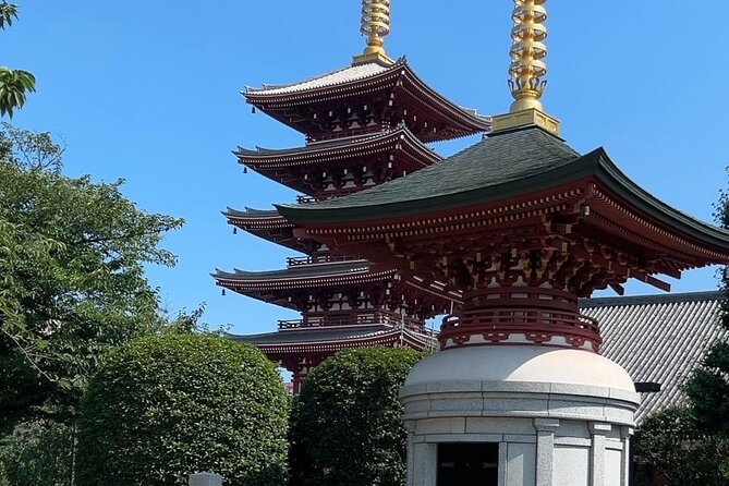 Customizable Private Tokyo Trip With an English Speaking Driver - Reviews and Testimonials