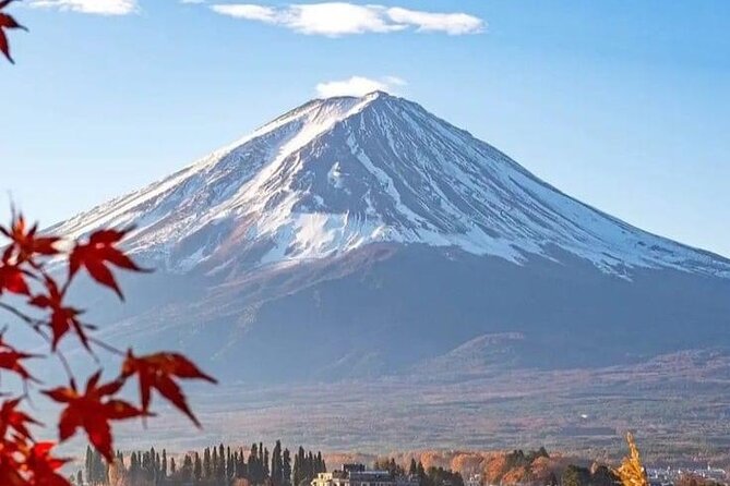 Customizable Private Tour in Mt Fuji From Tokyo by Car or Van - Customization Options
