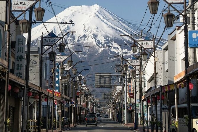 Customizable Private Tour in Mt. Fuji With Private Driver - Itinerary