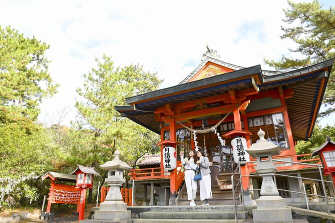 Discover the Wonders of Sakurajima Half Day Tour in Kagoshima - Tour Guides and Communication