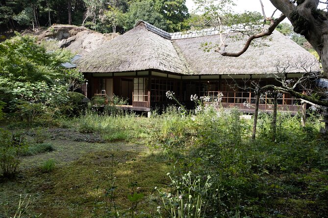 【Kamakura Zen – Private 5 Hour Walking】 Guided Tour With Lunch - Enjoying a Bento Lunch at La Terrasse Zen