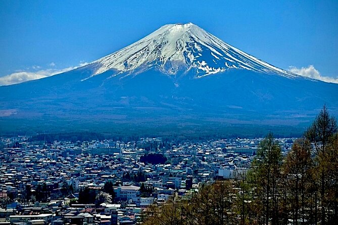 English Guided Mt. Fuji and Lake Kawaguchi Group Tour - Booking Details