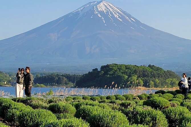 From Tokyo: Mount Fuji Full Day Private Tour With English Guide - Itinerary for the Day
