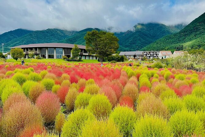 From Tokyo: Mount Fuji Full Day Private Tour With English Guide - Experiencing the Private Tour Advantage