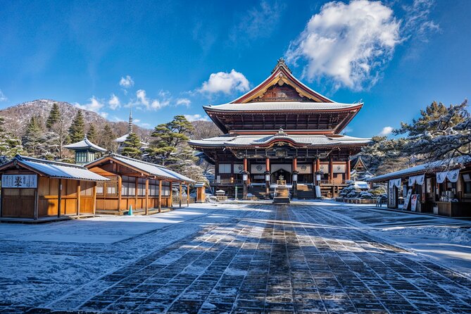 From Tokyo: Nagano Snow Monkey Park Private Tour - What to Expect on the Tour