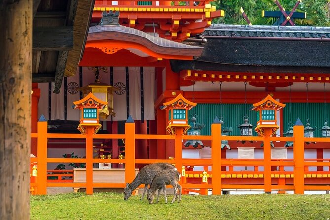 From Tokyo to Kyoto and Nara: A Captivating Full-Day Private Tour - Guide Profiles and Feedback