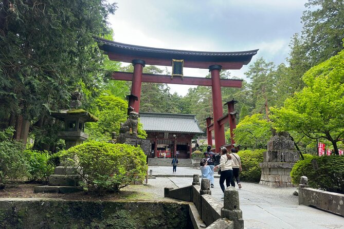 Fuji Hakone Cherry Blossom Private Tour - Getting to Tokyo Station