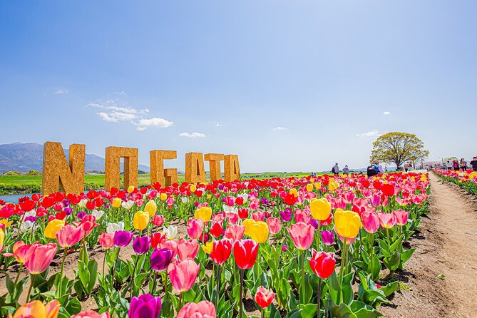 Fukuoka Cherry Blossom and Tulip Tour With Boat Ride Yokabus - Itinerary Adjustments