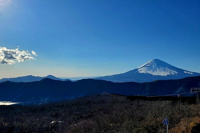 Guided 2 Days Tour Tokyo ,Mt Fuji and Hakone GREEN NUMBER PLATES - Itinerary: Day 1 - Tokyo Exploration
