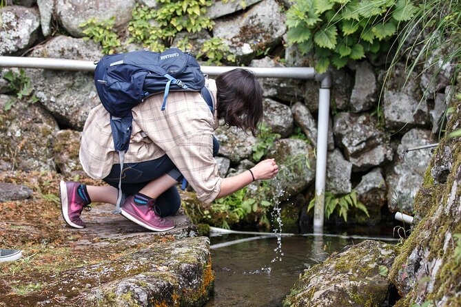 Guided Cycling Tour in Hagi With Sake Brewery Visit - Exploring Hagis Countryside