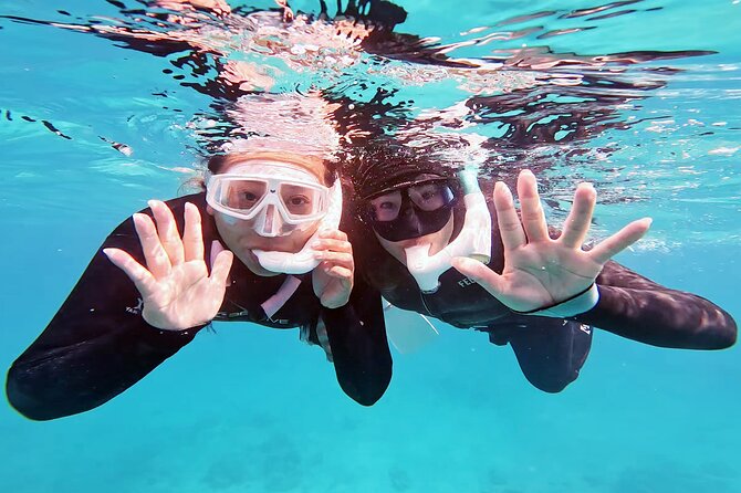 Half Day Amami Japan Boat Snorkeling Adventure - Exploring the Underwater World