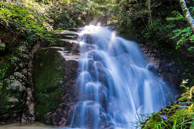 Hiking the Historic Nakasendo Trail- 1 Day Tour From Nagoya - Exploring the Nakasendo Trail
