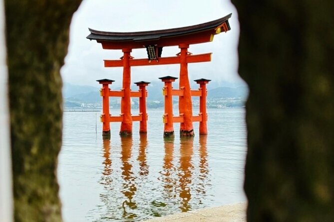 Hiroshima and Miyajima by Bike and Boat - Knowledgeable and Personable Guides