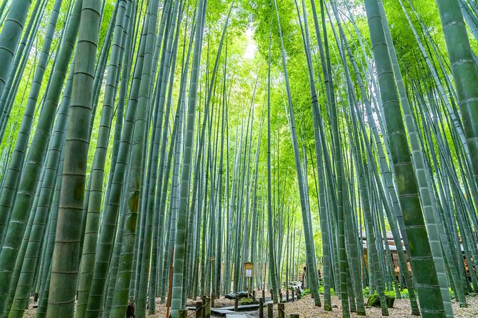 Kamakura Heritage Bike or Walk Tour With Ex-Rickshaw Guide - Exploring Kamakuras Rich Heritage