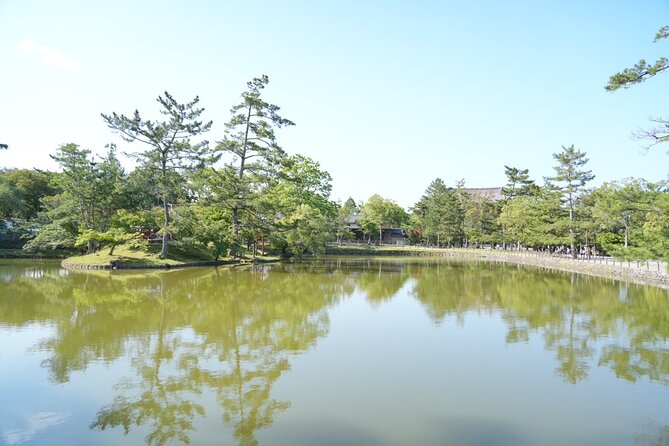 Kyoto and Nara in 1 Day in Fushimi Inari and Deer Park - Exploring Fushimi Inari Shrine