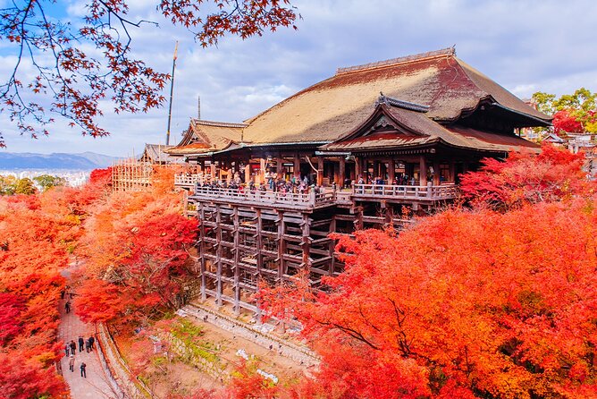 Kyoto and Nara UNESCO Highlights Full-day Tour From Osaka - Exploring Nara Park and Feeding the Deer