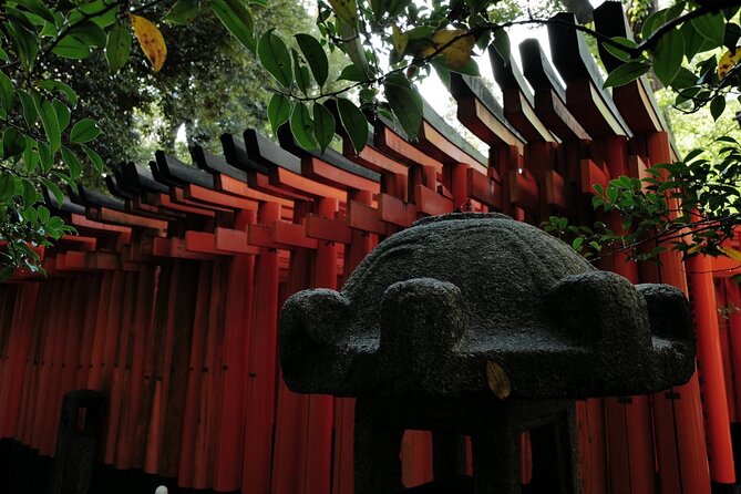 Kyoto Fushimi Inari Night Walking Tour - Accessibility and Health Restrictions