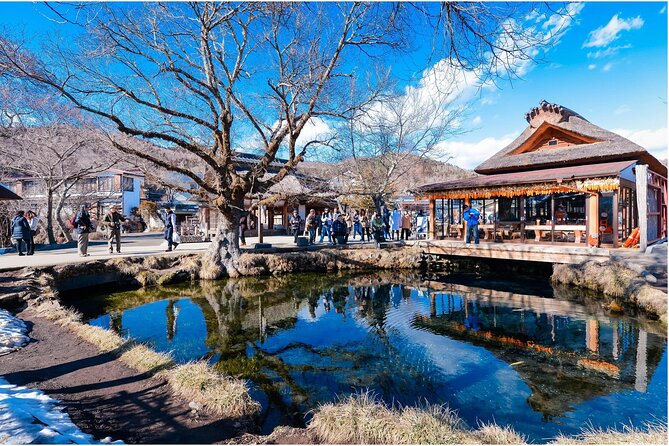 Mount Fuji 1-Day Trip: Kawaguchiko Ropeway & Matcha Culture - Understanding the Accessibility and Requirements