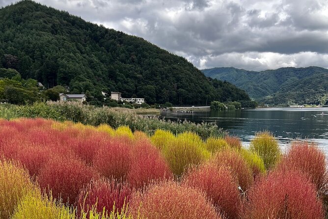 Mount Fuji Full Day Private Tour With English Speaking Driver - Tour Inclusions and Exclusions