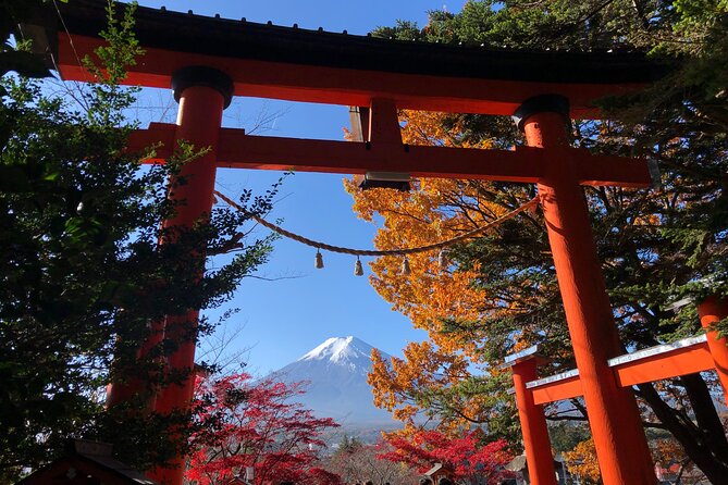 Mount Fuji Full Day Sightseeing Tour From Tokyo - Enhancing Communication and Customer Support