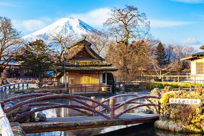 Mt Fuji Exploration Tour With Free Japanese Kusa Mochi From Tokyo - Seasonal Attractions