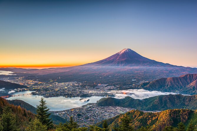 Mt. Fuji or Hakone Private Sightseeing Day Trip From Tokyo - Customizing Your Experience