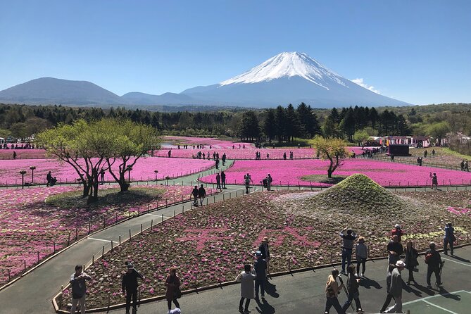 Mt.Fuji (Plus Gotemba)Tour , From/To Tokyo&Yokohama, 2- 12 Guests - Customer Feedback and Reviews