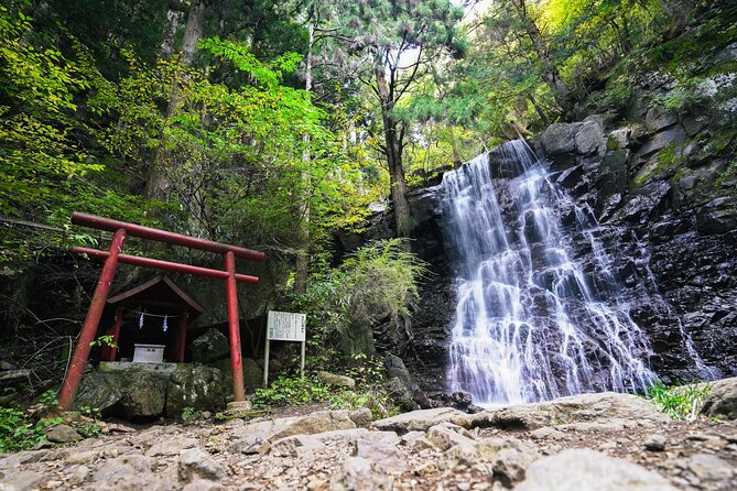 Mt. Fuji Private Chartered Tour With Nature & Wasabi Farm - Mount Fuji Exploration