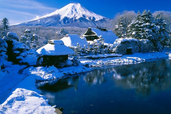 Mt. Fuji Tours With Kawaguchi Lake Ropeway View English Speaking - Traveler Reviews