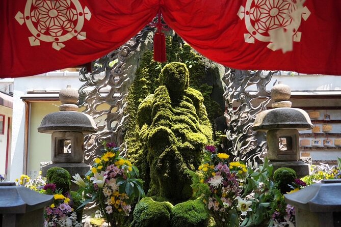 Osaka Early Bird Tour With English-Speaking Guide - Accessibility and Participation Details