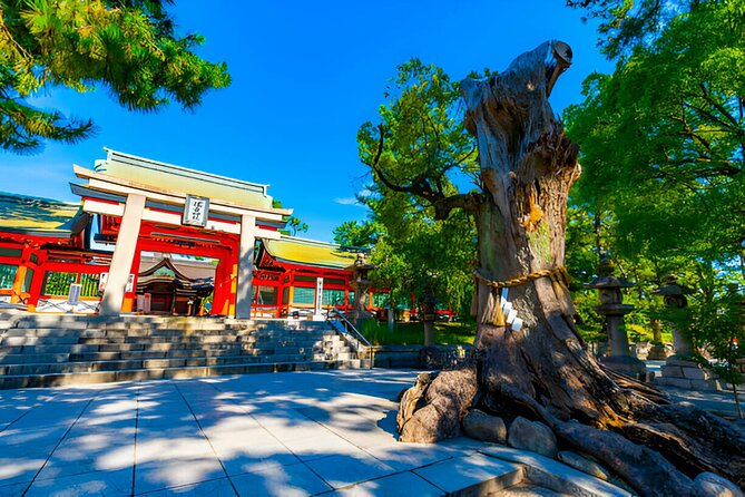 Osaka Private Tour With English-Speaking Driver - Customizing Your Osaka Private Tour Experience